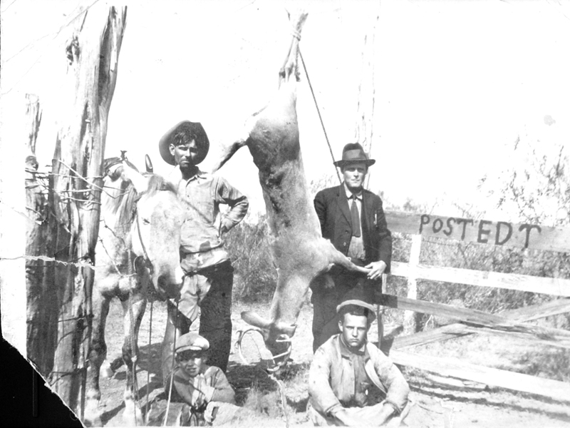 Author Ben H English's ancestors