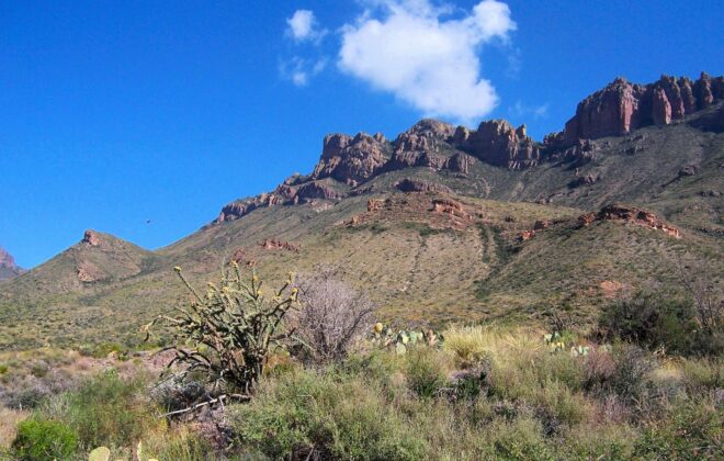 Crown Mountain in the Big Bend National Park, with desert flowers and blue skies.
